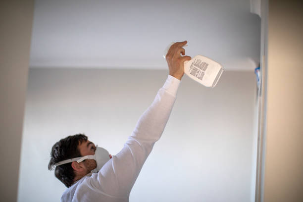 Best Mold Testing  in Wedgefield, SC